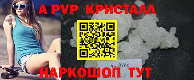 стафф Кингисепп